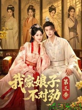 我家娘子，不对劲第三季